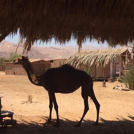 Diana Beach Camp Hotel Nuweiba` Zewnętrze zdjęcie