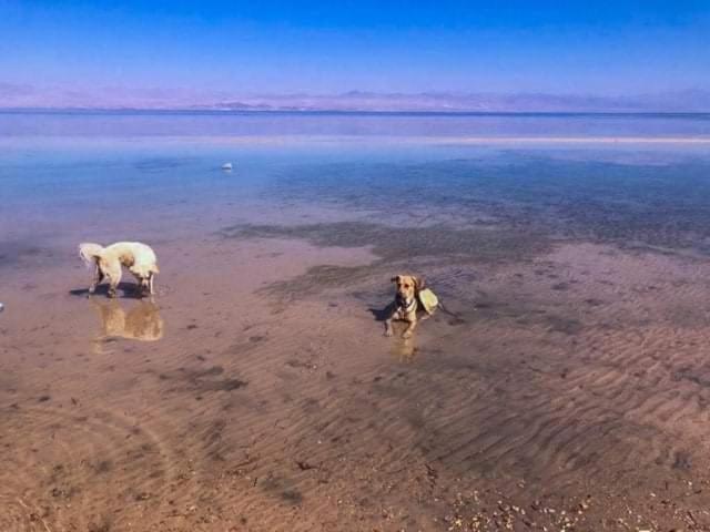 Diana Beach Camp Hotel Nuweiba` Zewnętrze zdjęcie